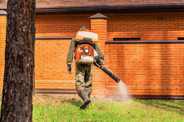 Trusted Rodent Control service in Buena Vista, CO - Nex Pest Control